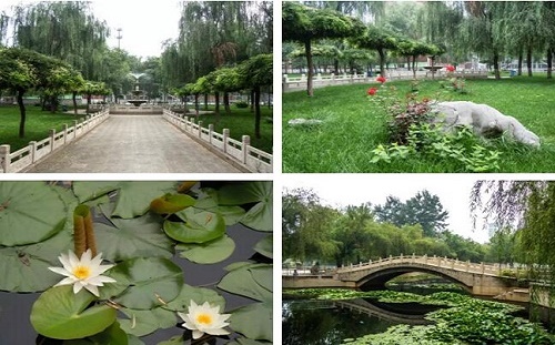 石家莊東華鐵路學(xué)校環(huán)境 石家莊東華鐵路學(xué)校環(huán)境