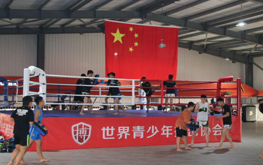 散打專業.png 散打專業.png