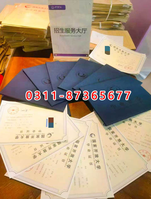 學信網上都能查詢什么學歷呢？